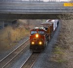 CN 2715